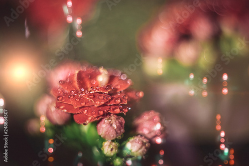 red flowers