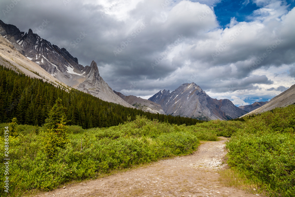 A hiking trail in the Highwood Pass of Kananaskis Country, Alberta, Canada