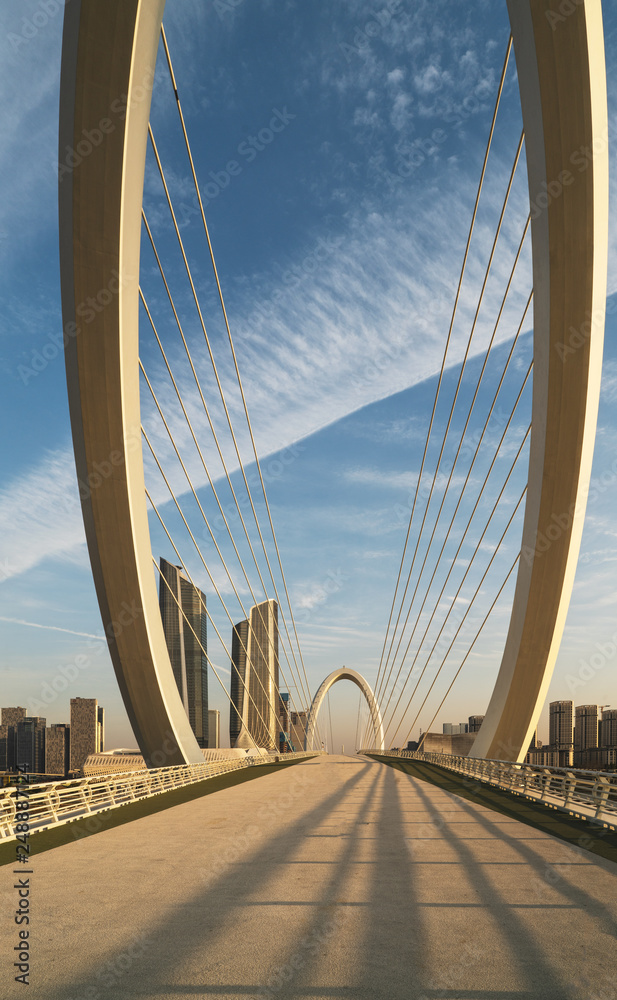 Obraz premium Empty steel cable bridge park