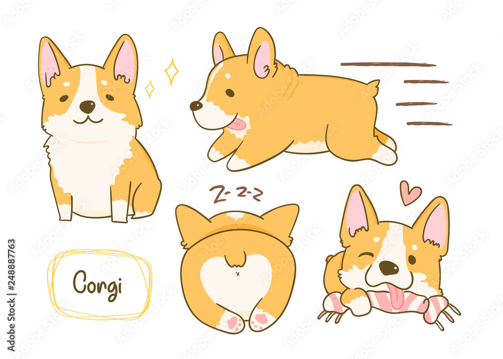 Kawaii playful Corgi dogs in various poses. Hand drawn colored vector set. All elements are isolated
