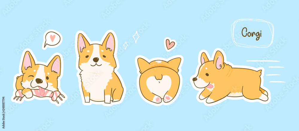 Kawaii playful Corgi dogs in various poses. Hand drawn colored vector set. Pre-made stickers. Blue background. All elements are isolated - obrazy, fototapety, plakaty 