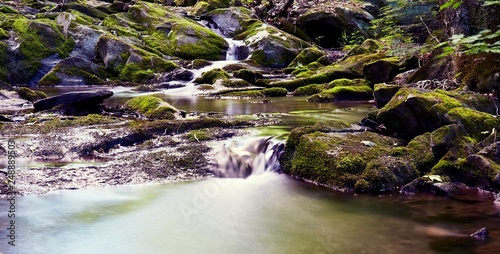 Water 