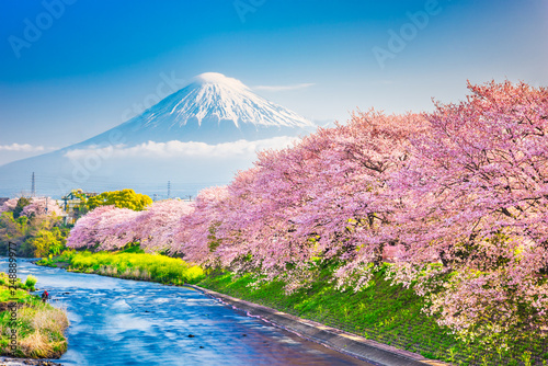 Mt. Fuji, Japan spring landscape.