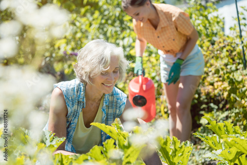 Senior and young woman gardening together