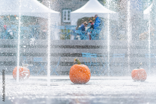 Close up shot of some beautiful pupmkin and water dance photo