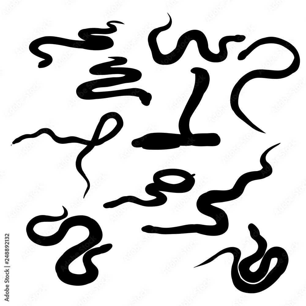 Naklejka premium isolated, set of snakes silhouette