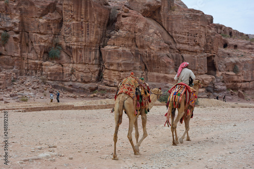 Camelli Petra © Alfi