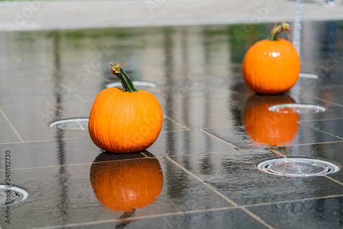 Close up shot of some beautiful pupmkin and water dance photo