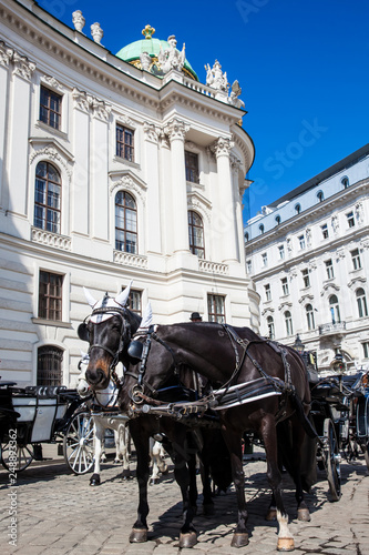 Horse-drawn carriages in front of the Hofburg Imperial Palace in Vienna