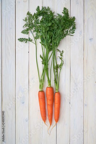 Wallpaper Mural Bunch of fresh carrots with green leaves over white wooden background Torontodigital.ca