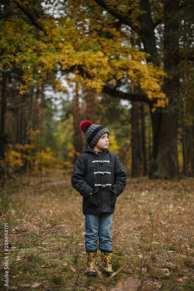 little boy in autumn forest little boy in autumn forest