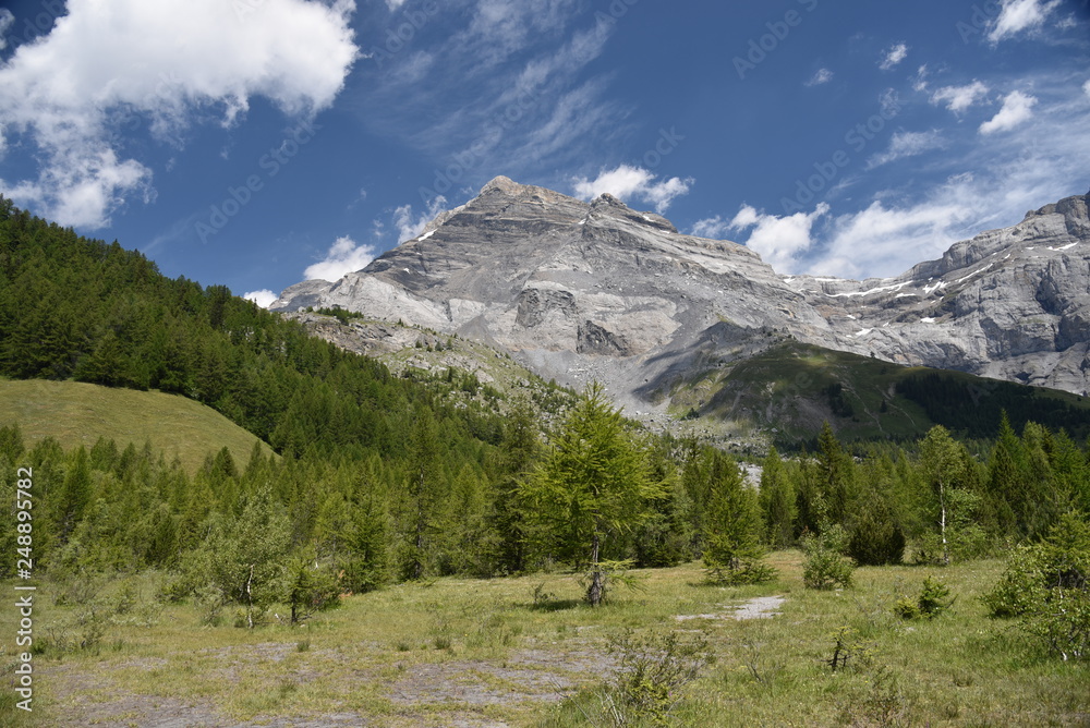 Fototapeta premium Lake Derborence (Switzerland)