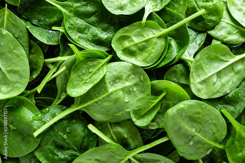 Fresh spinach leaves background. Healthy vegan food. Top view