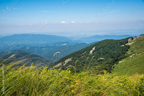 Mountain landscape and mountain grass in a sunny day