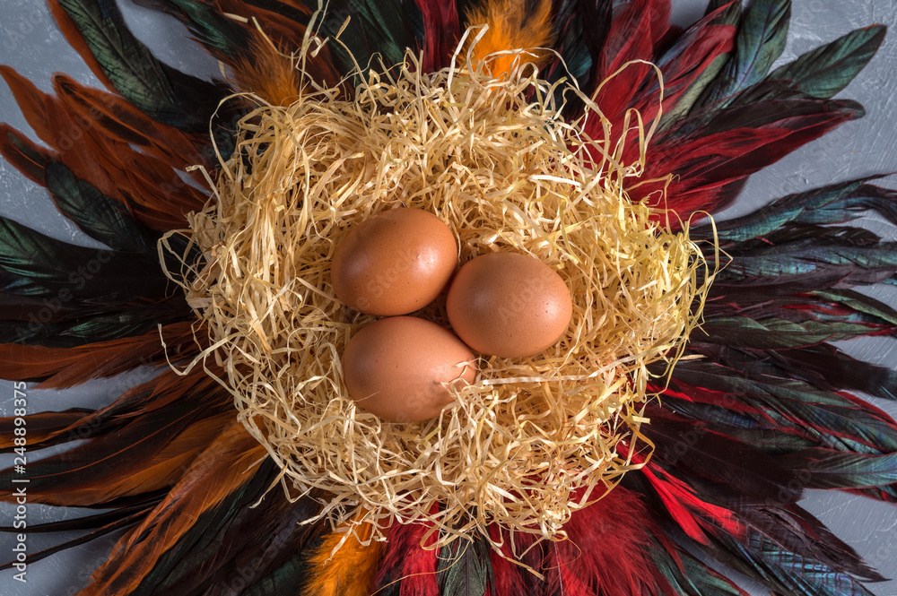 Fresh chicken eggs on decorative nest Fresh chicken eggs on decorative nest