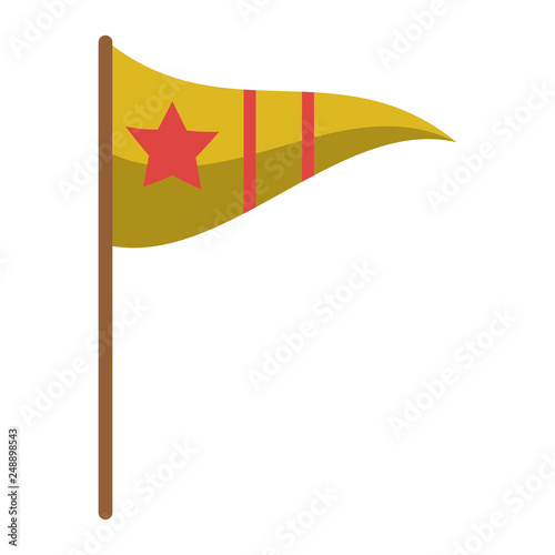 sport pennant with star