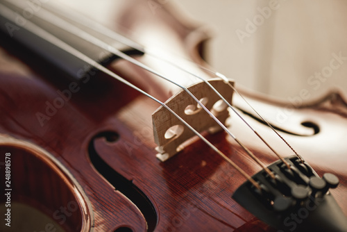 Close up view of strings of beautiful brown violin lying on wooden background. Musical instruments.