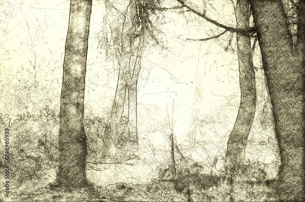 Sketch of a Misty Forest on a Cold Silent Morning