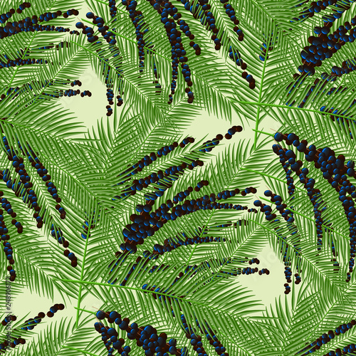 Euterpe palm. Seamless pattern with acai berries and acai palm.