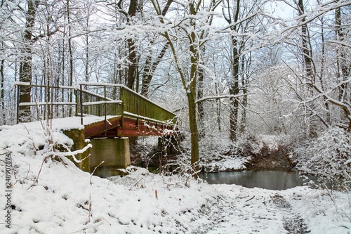 The bridge and the ford across the river in winter.  East Moravia. Czech Republic. Europe. © Milan