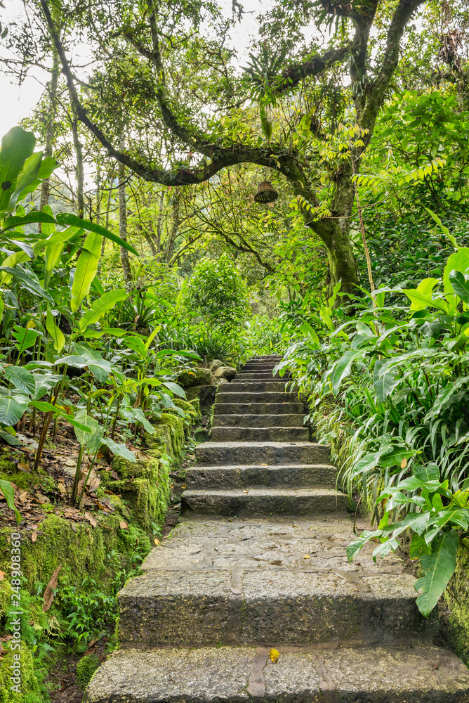 Stone staireway in jungle resort