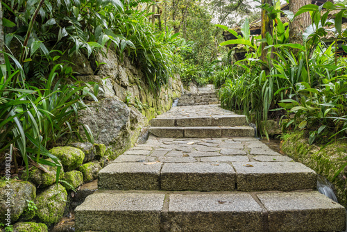 Fototapeta Naklejka Na Ścianę i Meble -  Stone staireway in jungle resort