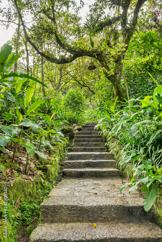 Stone staireway in jungle resort