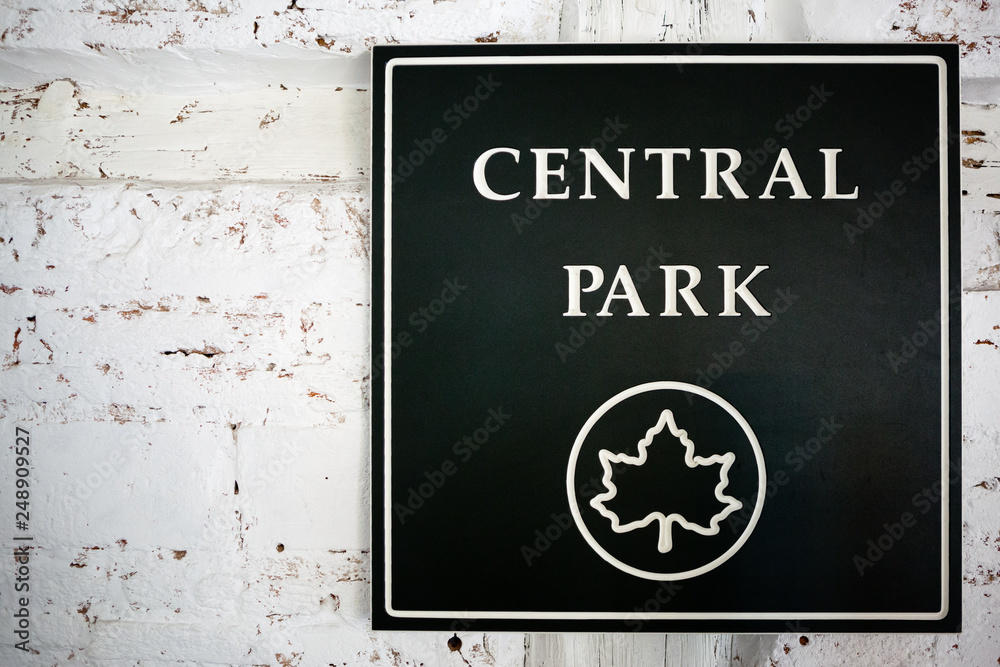 Fototapeta premium A wall with a dark green sign of central park