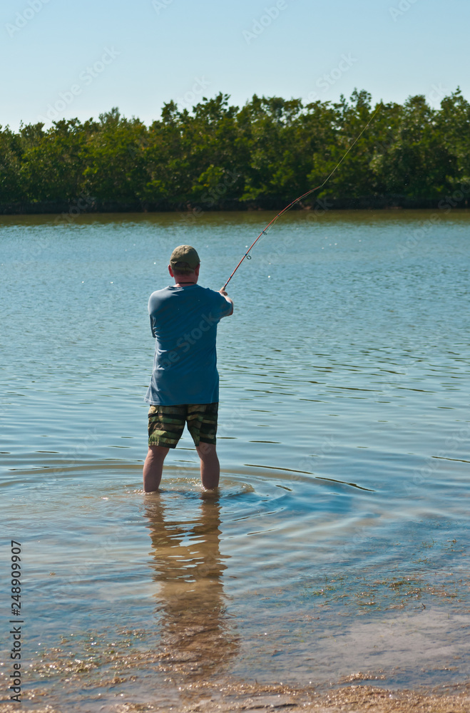 Back view of a single, adult, male fishing in backwaters of a tropical island on the gulf of mexico on a sunny, winter afternoon Back view of a single, adult, male fishing in backwaters of a tropical island on the gulf of mexico on a sunny, winter afternoon