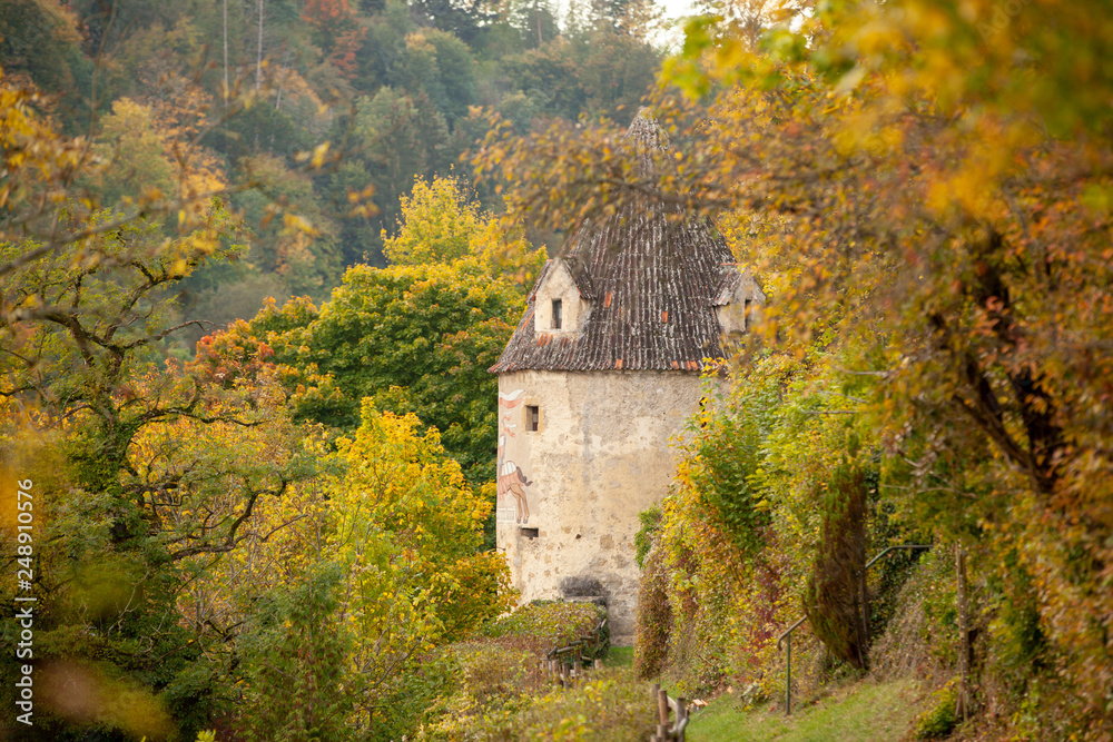 tower in autumn