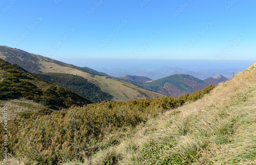 Fototapeta premium View the meadows in The Vratna valley at the national park Mala Fatra