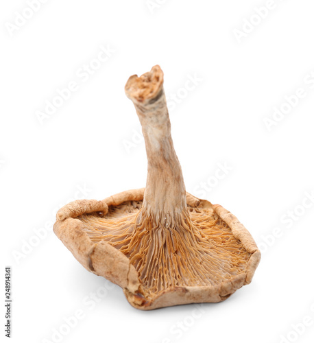 Dried aromatic chanterelle mushroom isolated on white