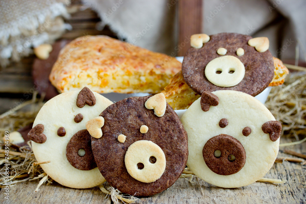 Shortbread sugar cookies shaped funny pigs with cocoa