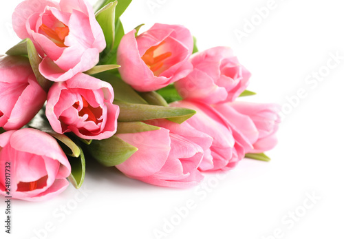 Beautiful spring tulips on white background, closeup. International Women's Day