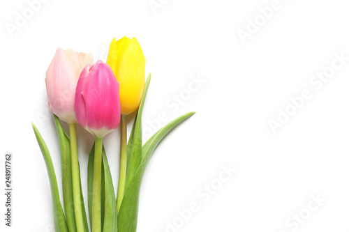 Beautiful spring tulips on white background, top view. International Women's Day