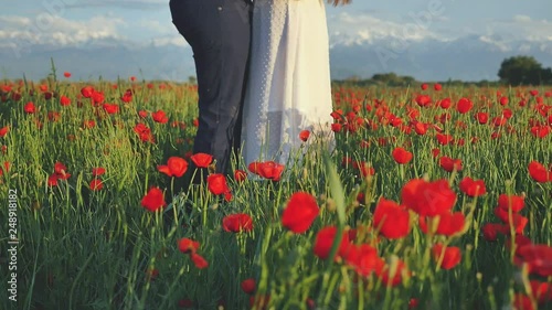 Marriage proposal at field of flowers at happy womens day