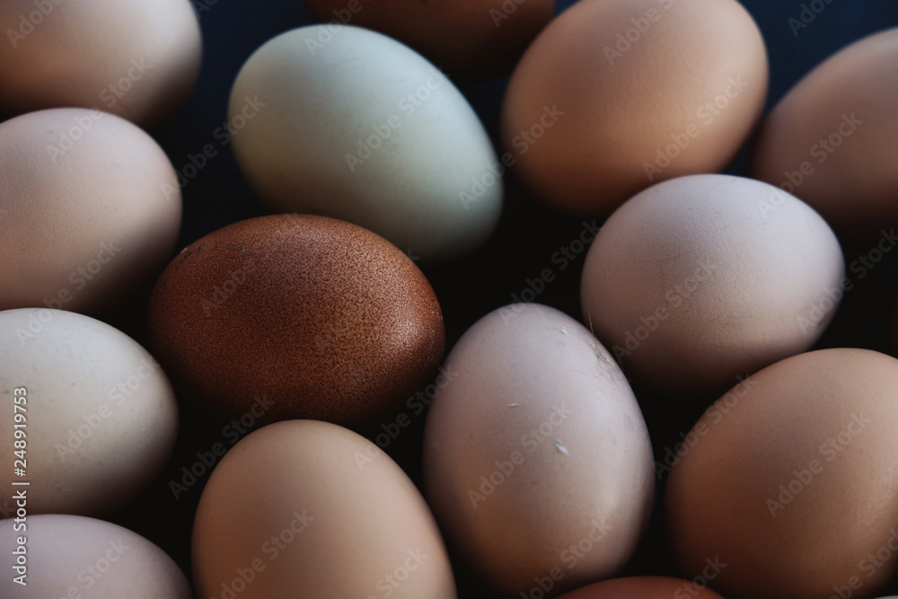 Earthy tones of fresh chicken eggs from farm harvest in group. Earthy tones of fresh chicken eggs from farm harvest in group.