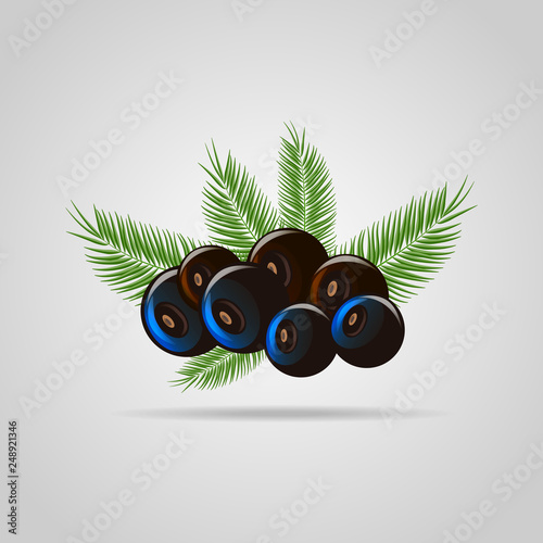 Black acai berry flat icon with palm leaves. vector illustration of eco food