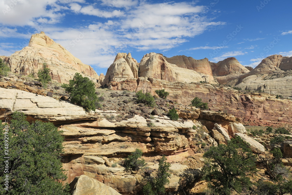 Fototapeta premium usa