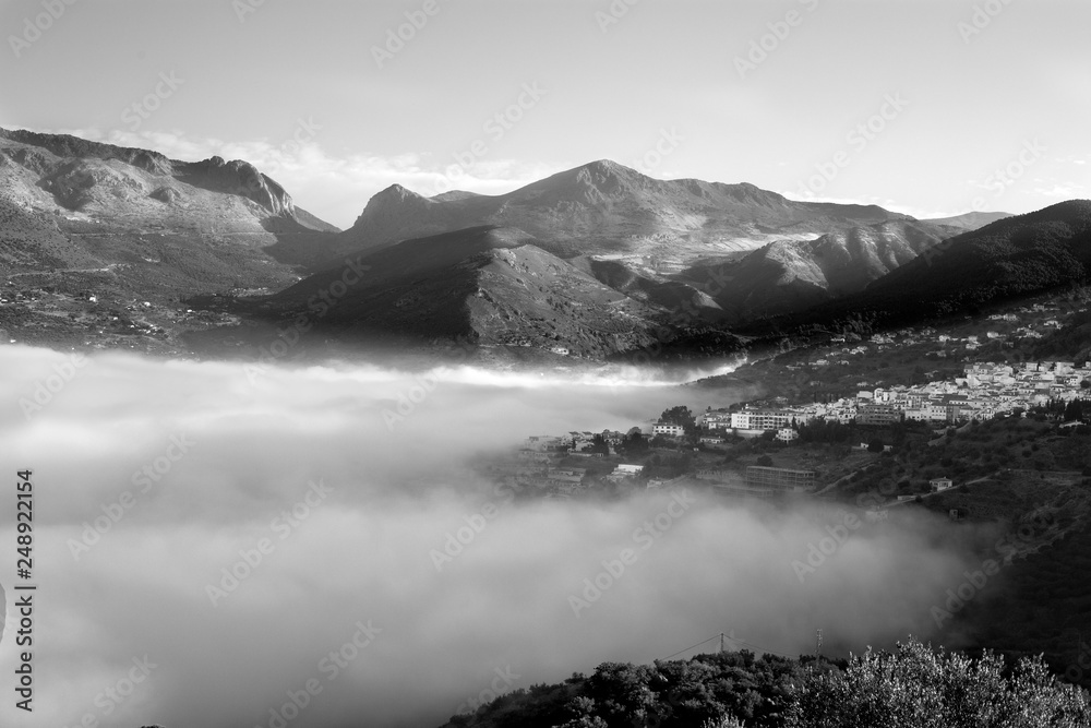 Spanish Valley Mist