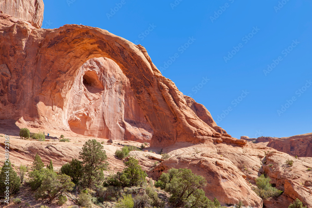 Arches National Park Landscape in Utah