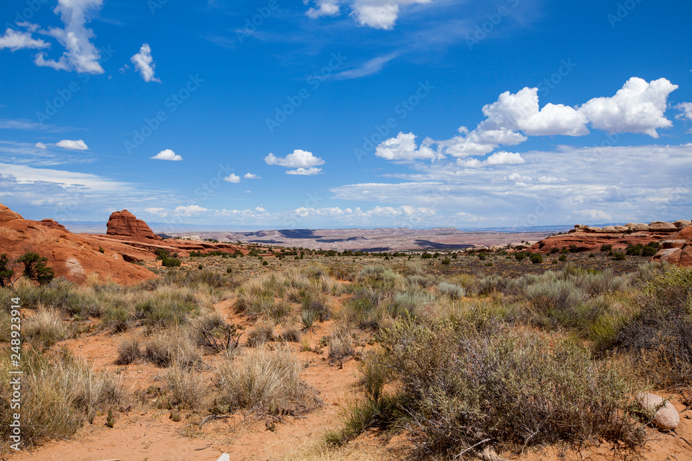 Fototapeta premium Utah Landscape
