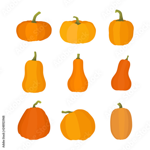 Pumpkin Set