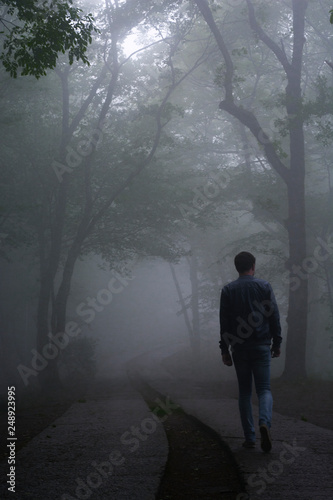 A man is walking away in the foggy forest