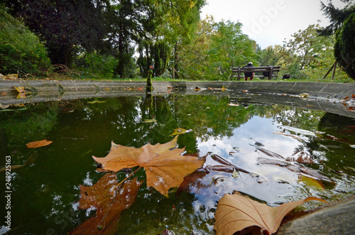 kleiner park mit weiher im herbst photo