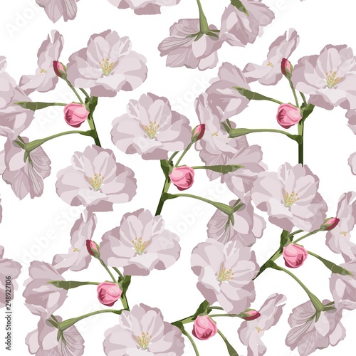 Seamless pattern with hand drawn sakura flowers. Beautiful floral design elements, white background. © Iuliia