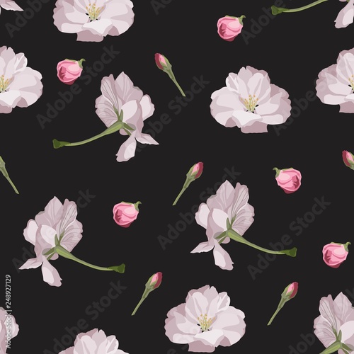 Fototapeta Naklejka Na Ścianę i Meble -  Seamless pattern with hand drawn sakura flowers. Beautiful floral design elements, black background.
