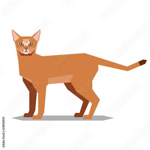 Polygonal abissinian cat on the white background