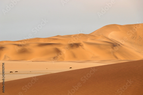 Fototapeta Naklejka Na Ścianę i Meble -   sand dune (swakopmund) - Namibia Africa