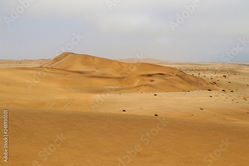 sand dune  swakopmund  - Namibia Africa